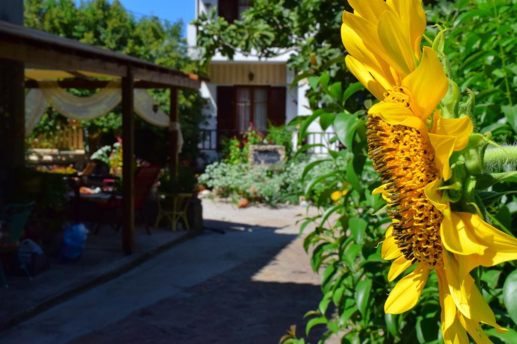 Zaira Studios Skala Eresou Exterior photo